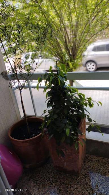 Cozy Apartment In Athens! Екстериор снимка